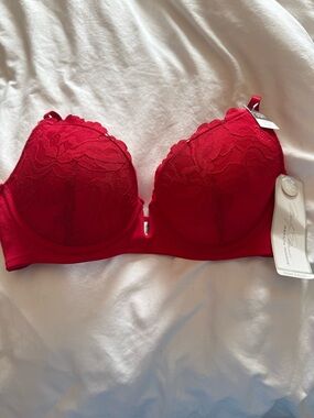 NWT Marilyn Monroe Scarlet Super Soft Lace Plunge Bra